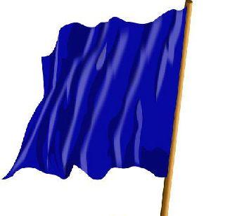 Blue sharks on different political branches! | निळी पाखरं वेगवेगळ्या राजकीय फांद्यांवर! Blue sharks on different political branches! | निळी पाखरं वेगवेगळ्या राजकीय फांद्यांवर!