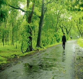 To save the forest, you are aggressive | आरेचे जंगल वाचवण्यासाठी 'आप' आक्रमक To save the forest, you are aggressive | आरेचे जंगल वाचवण्यासाठी 'आप' आक्रमक