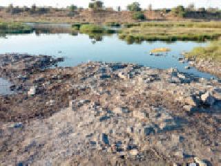 Insert on the existence of the earth | वणाच्या अस्तित्वावर घाला Insert on the existence of the earth | वणाच्या अस्तित्वावर घाला