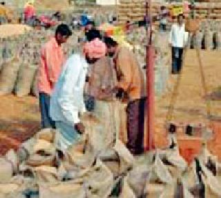 Kochi taluka tops in purchasing paddy | धान खरेदीत कोरची तालुका अव्वल