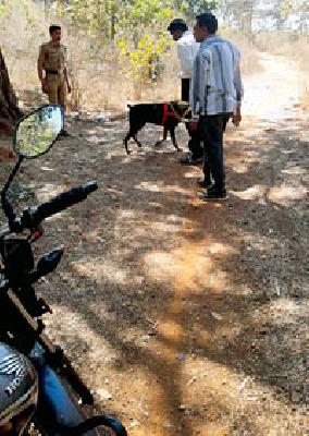 The woman's skull was found | महिलेचा सांगाडा सापडला