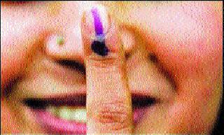 In Trimbakeshwar taluka, 65 percent voting is going on | त्र्यंबकेश्वर तालुक्यात ६५ टक्के मतदान