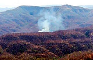 Mozilla valley forest firefighters | मोझरी खोऱ्यातील जंगल आगीच्या भक्षस्थानी Mozilla valley forest firefighters | मोझरी खोऱ्यातील जंगल आगीच्या भक्षस्थानी