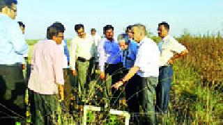 Israeli agriculture expert Dahanit | इस्त्राईलचे शेती तज्ज्ञ डेहणीत Israeli agriculture expert Dahanit | इस्त्राईलचे शेती तज्ज्ञ डेहणीत