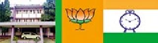 BJP, NCP's yarn gathered | भाजप, राष्ट्रवादीचे सूत जमले