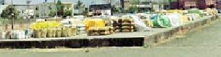 Tare purchase in Ralegaon closed for 15 days | राळेगावात तूर खरेदी १५ दिवसांपासून बंद Tare purchase in Ralegaon closed for 15 days | राळेगावात तूर खरेदी १५ दिवसांपासून बंद