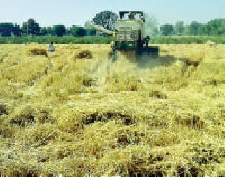 Punjab Harvester in Mudan: | पंजाबचे हार्वेस्टर मुडाणामध्ये : Punjab Harvester in Mudan: | पंजाबचे हार्वेस्टर मुडाणामध्ये :