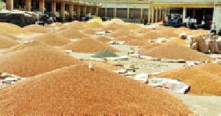 Toor purchase will continue till the last grain | शेवटच्या दाण्यापर्यंत तूर खरेदी सुरूच राहणार Toor purchase will continue till the last grain | शेवटच्या दाण्यापर्यंत तूर खरेदी सुरूच राहणार