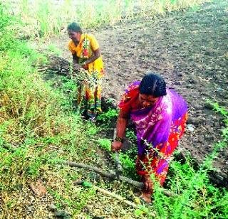Bai ga ... do not gas, your slit is good! | बाई गं... गॅस नको, आपली चूलच बरी! Bai ga ... do not gas, your slit is good! | बाई गं... गॅस नको, आपली चूलच बरी!
