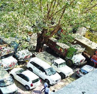 228 trucks on the sand-crusher | रेती-खडीचे २२८ ट्रक जागेवरच