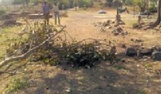 Two more birds dead | आणखी दोन पक्षी मृत