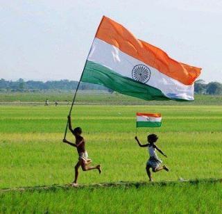 Rose | गुलाब