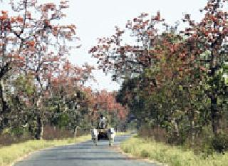 Veedh Chitotsav: | वेध रंगोत्सवाचे : Veedh Chitotsav: | वेध रंगोत्सवाचे :