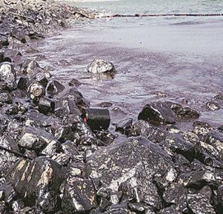 Demand for reimbursement in Tel-Ghali | तेलगळतीप्रकरणी भरपाईची मागणी Demand for reimbursement in Tel-Ghali | तेलगळतीप्रकरणी भरपाईची मागणी