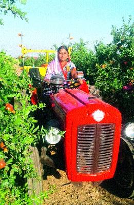 Ushatarik tractor in pomegranate garden | डाळिंबाच्या बागेत उषातार्इंचा ट्रॅक्टर Ushatarik tractor in pomegranate garden | डाळिंबाच्या बागेत उषातार्इंचा ट्रॅक्टर