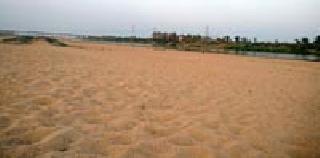 Wainganga dry before summer | उन्हाळ्यापूर्वीच वैनगंगा कोरडी