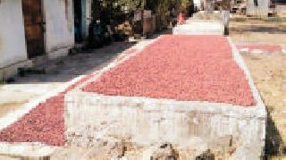 Take a broon ... | बोरं घ्या बोरं... Take a broon ... | बोरं घ्या बोरं...