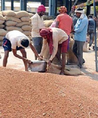 Wait a week, wait for the tire count | तूर मोजणीसाठी आठवडाभर प्रतीक्षा Wait a week, wait for the tire count | तूर मोजणीसाठी आठवडाभर प्रतीक्षा