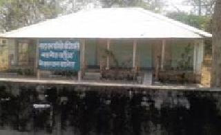 Wooden ring decoration | बडनेऱ्यातील वनकार्यालय शोभेची वास्तू Wooden ring decoration | बडनेऱ्यातील वनकार्यालय शोभेची वास्तू