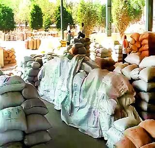 Oaton dealers - commodities too! | ओट्यावर व्यापा-यांचाही शेतमाल ! Oaton dealers - commodities too! | ओट्यावर व्यापा-यांचाही शेतमाल !