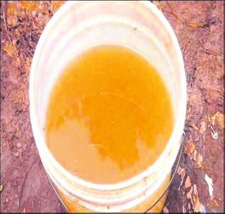 Discover the contaminated water district! | दूषित पाण्याचा जिल्ह्याला विळखा! Discover the contaminated water district! | दूषित पाण्याचा जिल्ह्याला विळखा!