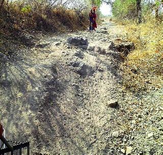 Encroachment on pontoon roads is headache for administration! | पांदण रस्त्यांवरील अतिक्रमण प्रशासनासाठी डोकेदुखी! Encroachment on pontoon roads is headache for administration! | पांदण रस्त्यांवरील अतिक्रमण प्रशासनासाठी डोकेदुखी!