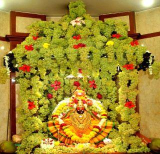 Mr. Aakalai goddess Vineyard for | श्री. अकलाई देवीसाठी द्राक्षांची आरास Mr. Aakalai goddess Vineyard for | श्री. अकलाई देवीसाठी द्राक्षांची आरास