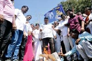 Holi 'EVM' by BSP | बसपातर्फे ‘ईव्हीएम’ची होळी