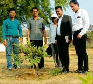 Project Green concept is a boon for the landslide | पडीक जमिनीला वरदान ठरली प्रोजेक्ट ग्रीन संकल्पना Project Green concept is a boon for the landslide | पडीक जमिनीला वरदान ठरली प्रोजेक्ट ग्रीन संकल्पना