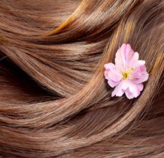 The natural secret of beautiful hair | सुंदर केसांचं नैसर्गिक गुपित The natural secret of beautiful hair | सुंदर केसांचं नैसर्गिक गुपित