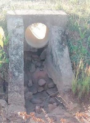 Canal of the Dongargoan project | डोंगरगाव प्रकल्पाचे कॅनल निकृष्ट दर्जाचे