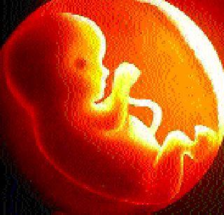 The order for the pregnancy test is overdue | गर्भलिंग चाचणीविषयीचे आदेश धाब्यावर