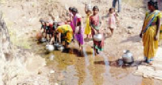 Water in the same gutter for the animals and the citizens! | जनावरे व नागरिक पितात एकाच नाल्यातील पाणी !