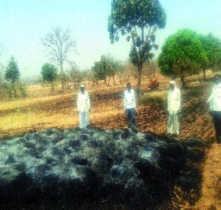 Wheat fire | गव्हाच्या सुडीस आग