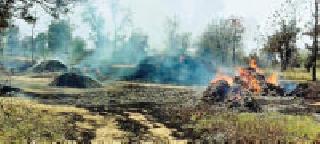 Two lakhs of crores were burnt alive | दोन लाखांची लाखोळी तूर भस्मसात