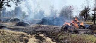 Two lakhs of people were burnt alive | दोन लाखांची लाखोळी भस्मसात