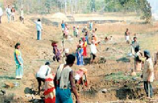 Gadchiroli district second to provide employment to the workers | मजुरांना रोजगार देण्यात गडचिरोली जिल्हा दुसरा