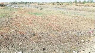 Chaktirth project falls dry | चाकतिर्थ प्रकल्प पडला कोरडा Chaktirth project falls dry | चाकतिर्थ प्रकल्प पडला कोरडा