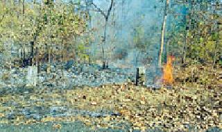 Forest and forest officials! | जंगलात वणवा अन् अधिकाऱ्यांची वानवा!