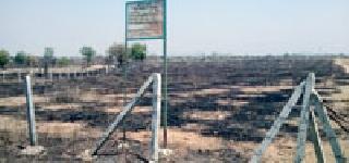 Mishra ropavan fire in fire | मिश्र रोपवन आगीत भस्मसात