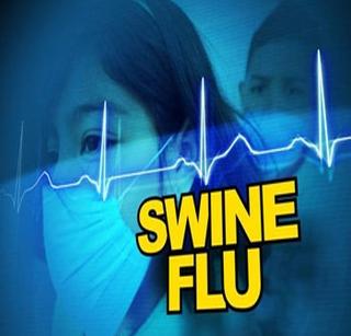 Number of swine flu deaths in 19 | स्वाइन फ्लूच्या बळींची संख्या १९ वर Number of swine flu deaths in 19 | स्वाइन फ्लूच्या बळींची संख्या १९ वर