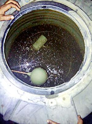 The hospital's hyacinth zoo and moss | रुग्णालयातील जलकुंभात जंत अन् शेवाळ The hospital's hyacinth zoo and moss | रुग्णालयातील जलकुंभात जंत अन् शेवाळ