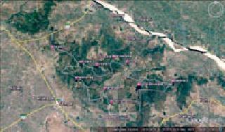 Two new routes will be planned for the jungle safari | जंगल सफारीसाठी होणार दोन नवे मार्ग Two new routes will be planned for the jungle safari | जंगल सफारीसाठी होणार दोन नवे मार्ग