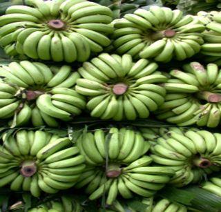 Banana prices fell by Rs 112 to Rs | दोन दिवसात केळी दरात 112 रुपयांची घसरण Banana prices fell by Rs 112 to Rs | दोन दिवसात केळी दरात 112 रुपयांची घसरण