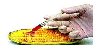 Not food adulteration, Slo poisoning | अन्न भेसळ नव्हे स्लो पॉयझनिंग