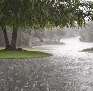 Good news this year will not be a problem | Good News यंदा नाही पडणार दुष्काळ Good news this year will not be a problem | Good News यंदा नाही पडणार दुष्काळ