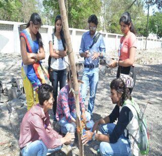 Environmental promotion from plastic bottles in Jalgaon | जळगावात प्लास्टिकच्या बॉटलपासून पर्यावरण संवर्धन
