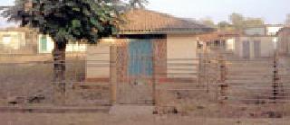 Lose their headquarters; Increasing forestry | वनकर्मचाऱ्यांचा मुख्यालयाला खो ; वनतस्करी वाढली Lose their headquarters; Increasing forestry | वनकर्मचाऱ्यांचा मुख्यालयाला खो ; वनतस्करी वाढली