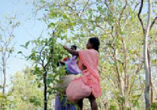 The trader and the officer bring the obstacle | व्यापारी व अधिकारी आणतात बाधा