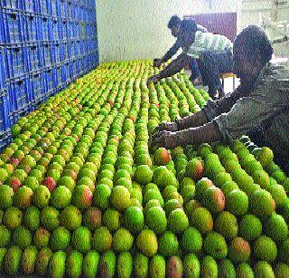 Demand for Konkan, Karnataka | कोकण, कर्नाटकी हापूसला मागणी